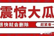 吃瓜娱乐视频网站大全,全网热门吃瓜娱乐视频网站大盘点